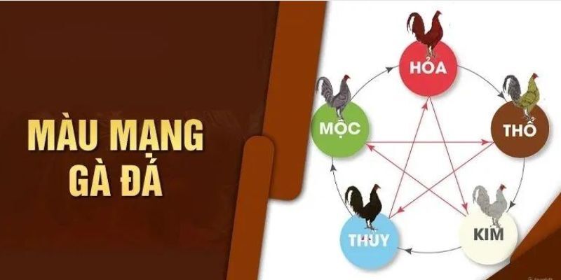 Màu Mạng Gà Đá: Bí Quyết Đỉnh Cao, Rinh Ngay Tiền Khủng